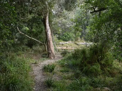 Guided Meditation: Meet Your Inner Child, Through The Heart