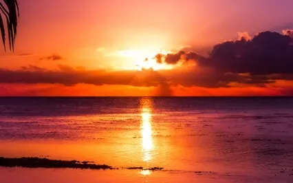 Guided Meditation Mental Relaxation