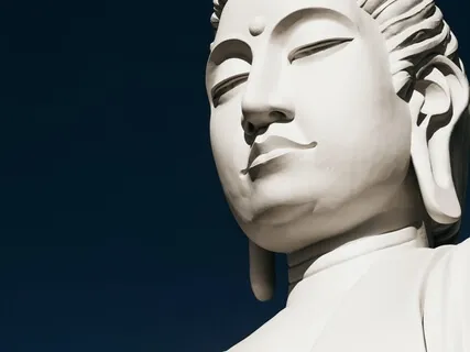 Cultivating Loving Kindness For All