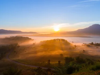 Motivation And Relief