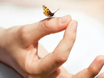 I Appreciate Affirmations