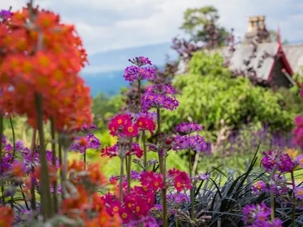 Guided Meditation: Om Shanti Shanti Shanti 