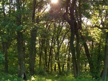 Meditation On Body Awareness