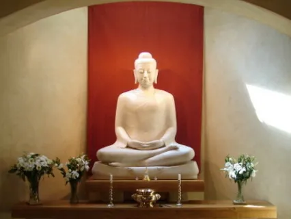 Guided Breath Practice 