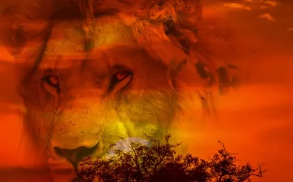 Guided Meditation On Overcoming Fear And Worry