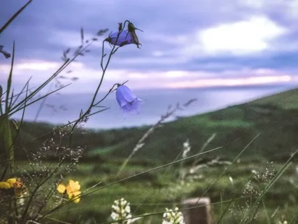 Guided Meditation On Receptive Listening