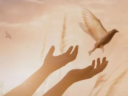 Letting The Hurt Go After Heart Ache - Brief Practice