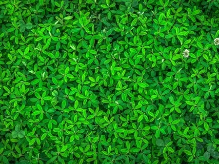 Guided Meditation On Surrender