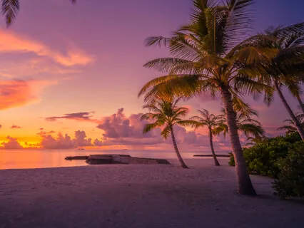 Quiet The Mind By Letting Go Of Tension