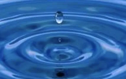 Guided Meditation: Reframing Distraction