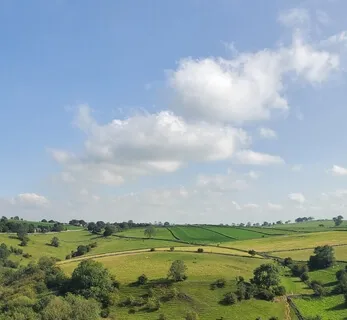 Guided Meditation Series - Life Perspective