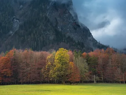 Guided Meditation *Visualize And Manifest*