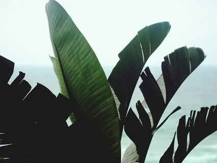 Guided Meditation: Tapping Into The Soul