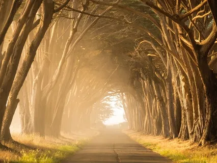 Guided Meditation - The Art & Practice Of Gratitude