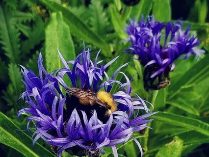 Guided Meditation Through The Chakras