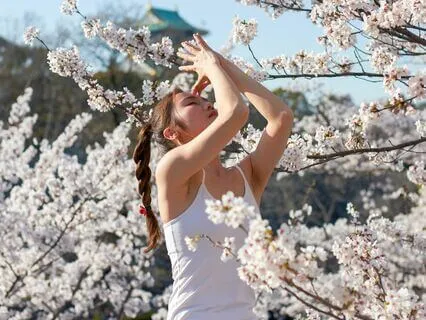 Guided Meditation To Access Your Innate Creation