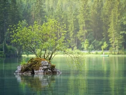 Guided Meditation To Calm Your Mind