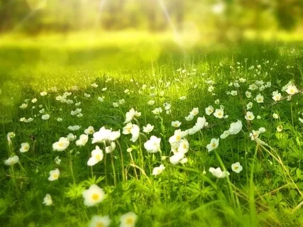 Guided Practice To Center Yourself And Be Calm