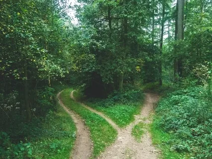 Guided Meditation To Choose Between Two Choices