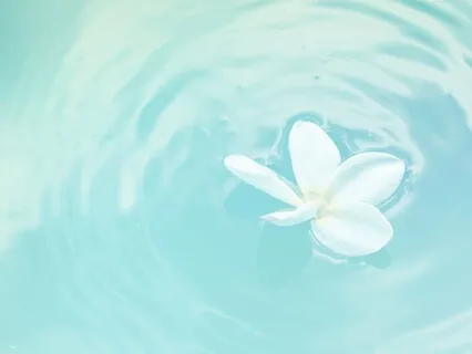 Guided Meditation To Clear, Anchor And Protect Your Energy