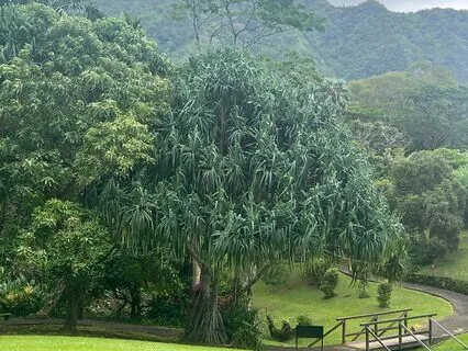 Meditation To Connect To Heart Space