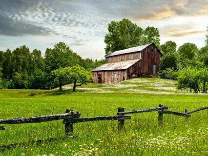 Guided Meditation to Connect with Messages of Encouragement