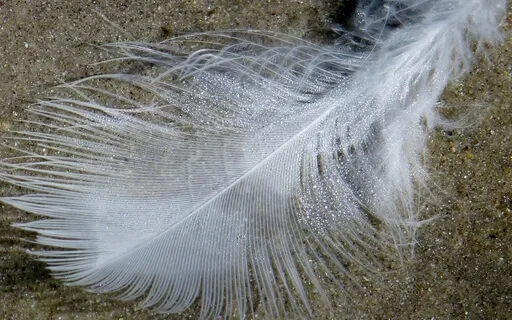 Guided Meditation To Connect With Your Guardian Angel