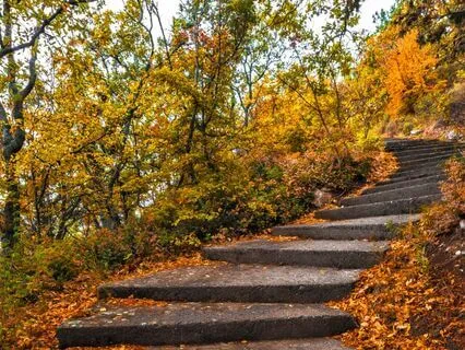 Guided Meditation To Connect With Your Soul Purpose