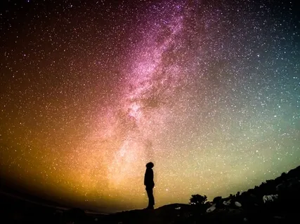 Cultivate Mindfulness