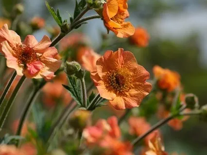 Guided Meditation To Cultivating Self-Compassion