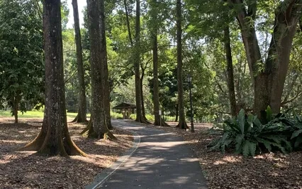 Guided Meditation To Destress (Reiki-Infused)