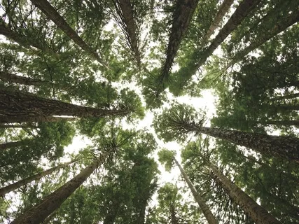 Explore Beyond The Mind