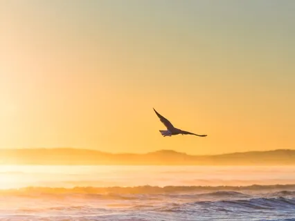 Guided Meditation To Find Your Life's Purpose