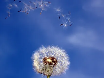 Guided Meditation To Help Cancer Patients