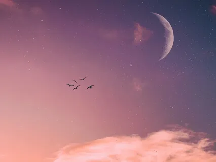 Fall Asleep With Gratitude