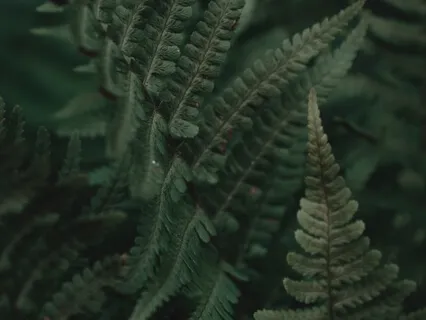 Let Go Of The Day For Deeper Rejuvenation