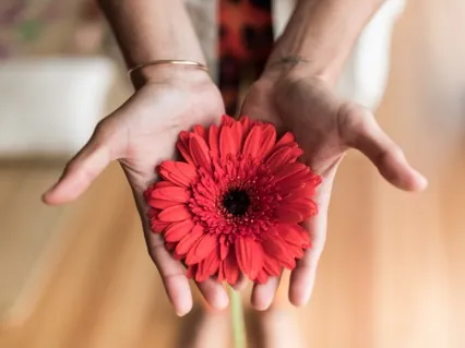 Meditation To Move Forward