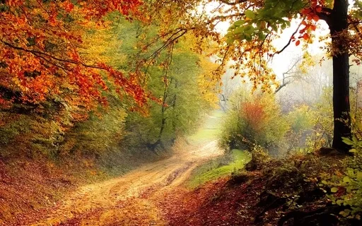 Guided Meditation To Move Towards Authenticity 