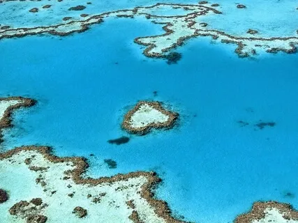 Heal Your Heart | Visualization Ho'oponopono