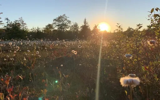 Guided Meditation To Overcome Pre-Race Anxiety 