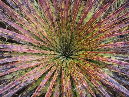 Guided Meditation To Raise Your Vibration (Mental Health)