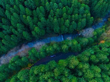 Guided Meditation To Raise Your Vibration