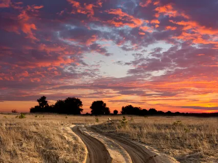 Reduce Fear + Increase An Overall Feeling Of Love And Light In Your Body