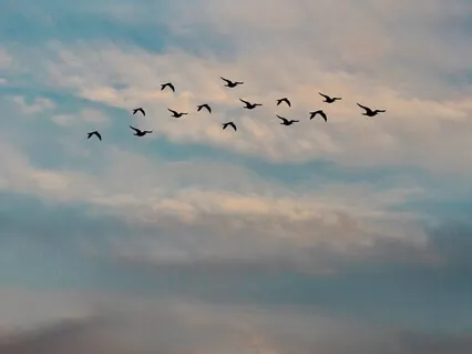 Guided Meditation To Relax And Sleep Well