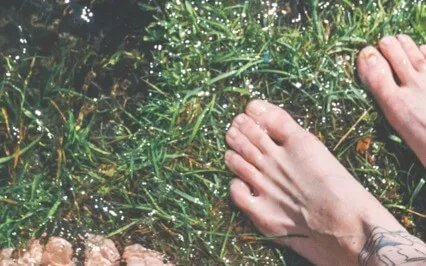 Guided Meditation To Release And Recharge