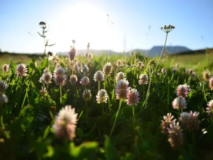 Guided Meditation To Reset Your Day