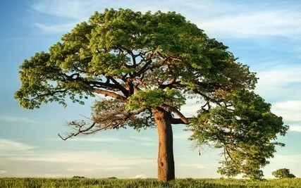 Guided Meditation To Shift To New Earth