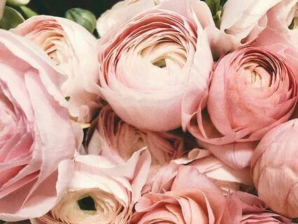 Strengthen Self-Esteem & Self-Love: A Daily Practice