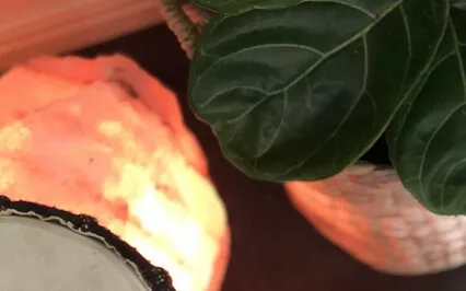 Guided Meditation To Support And Soothe The Nervous System