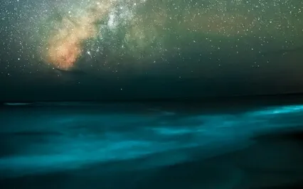 Guided Meditation To Support the Immune System